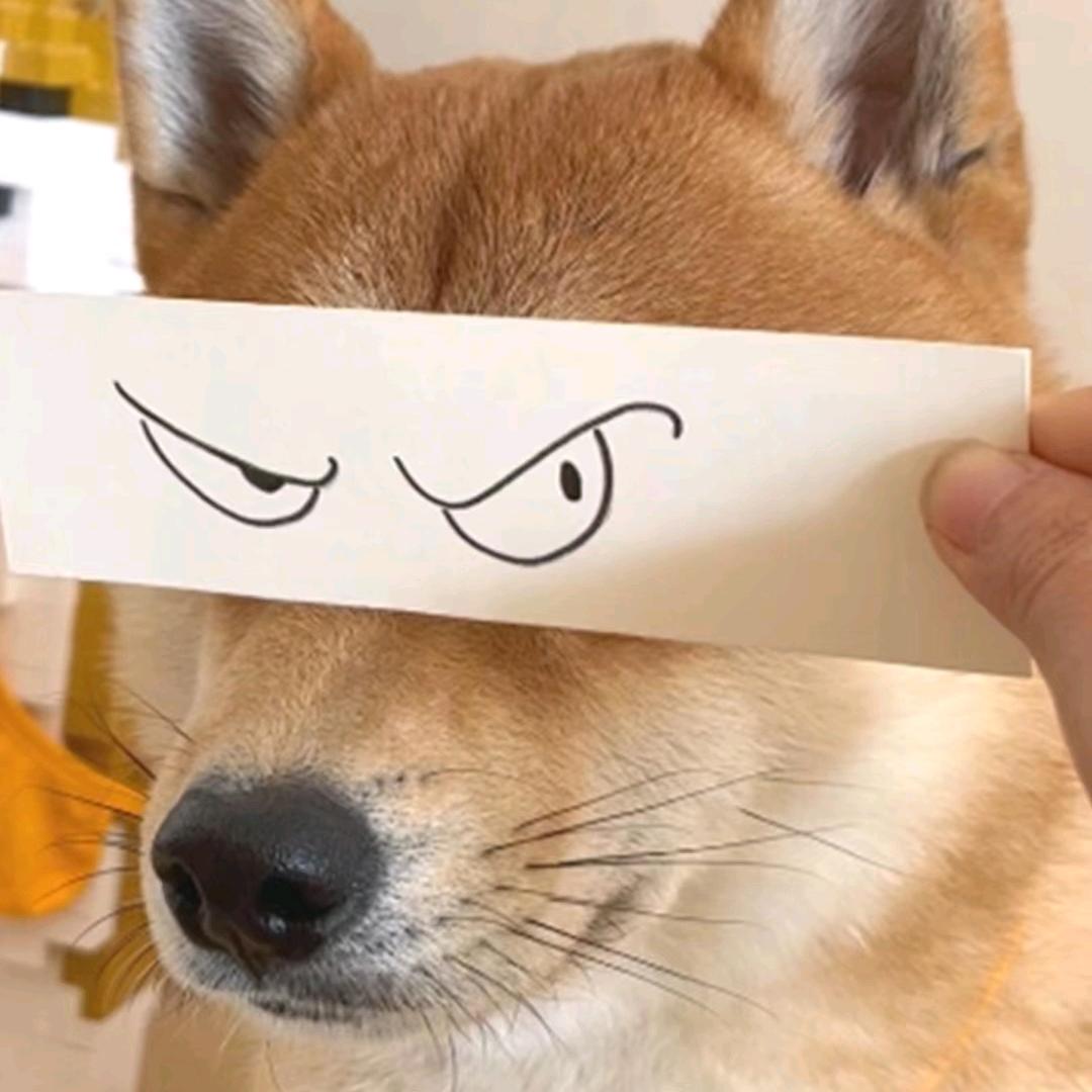 岍霩咖啡