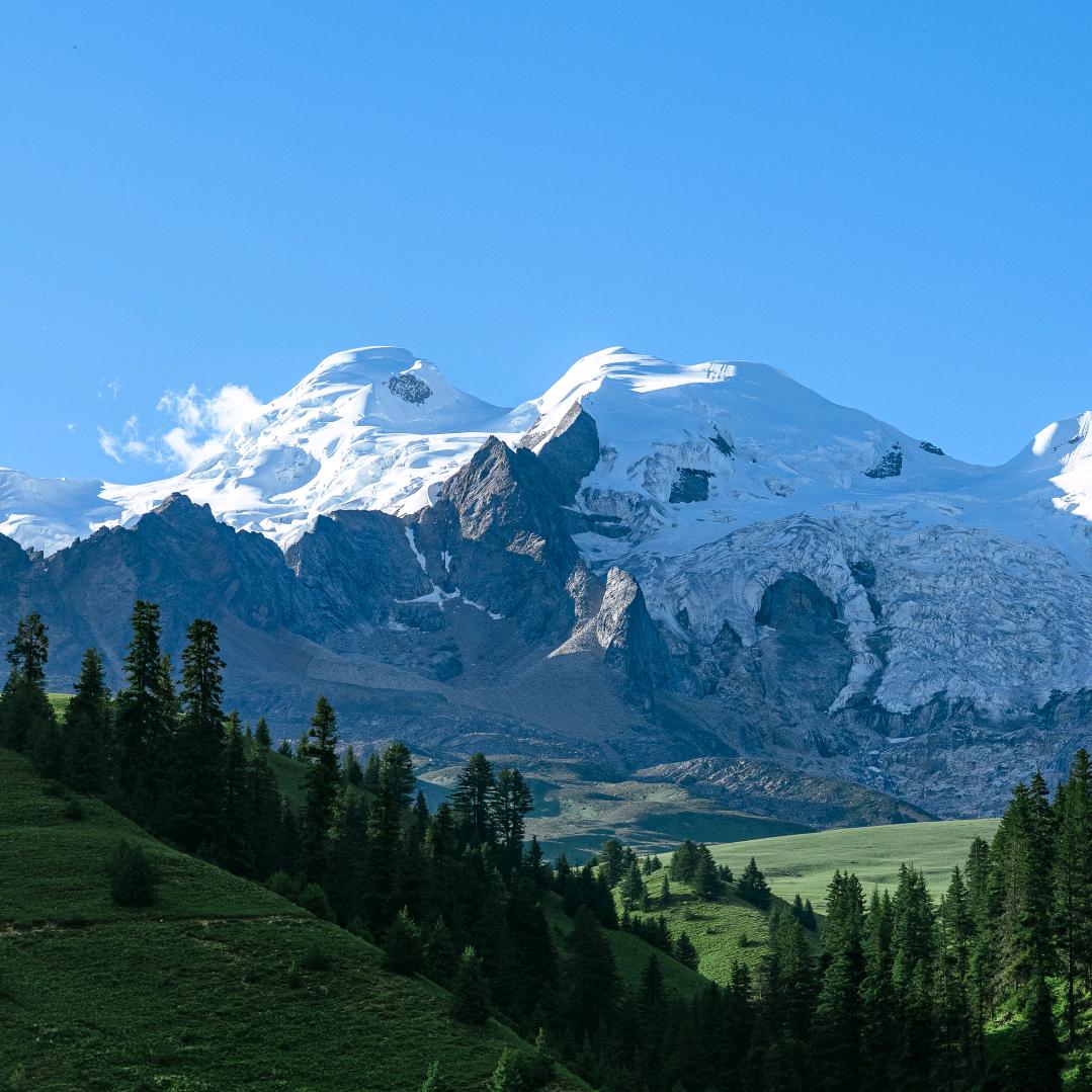 AAA 码农蛋炒饭老王