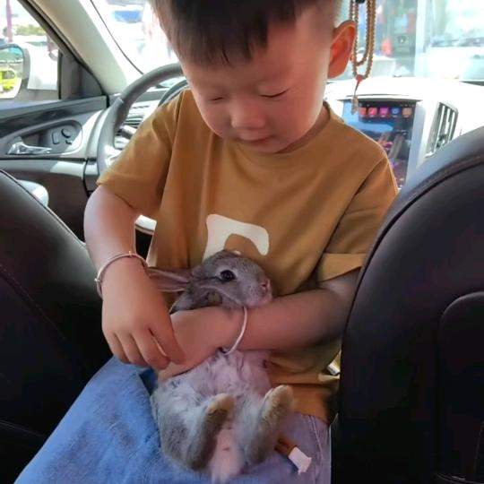 杨总