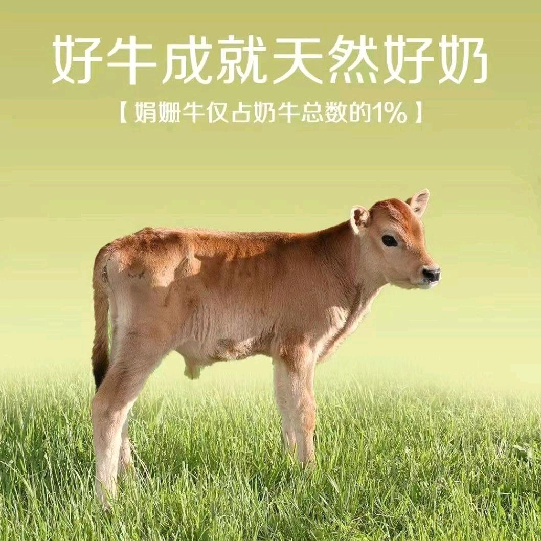 奶多多零食饮料优选基地