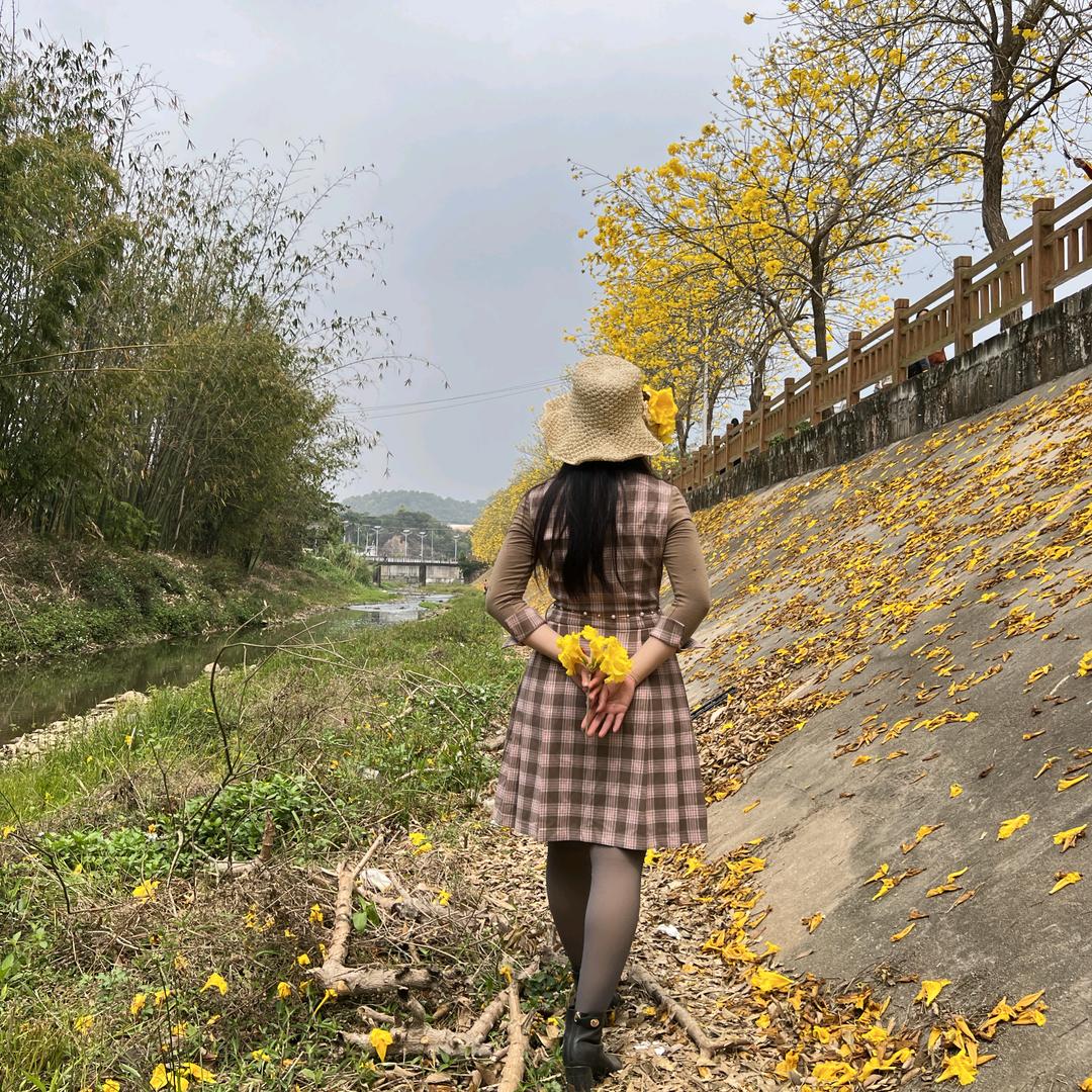 Yoyo（关注）