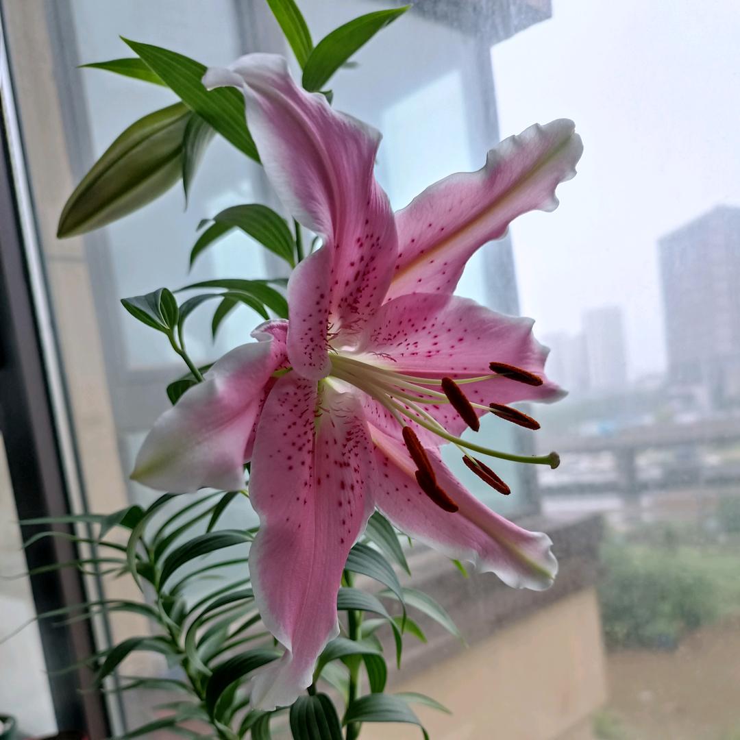 阳光123
