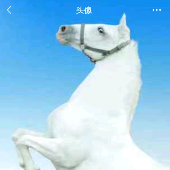 温宿县新朋友冷鲜肉销售店