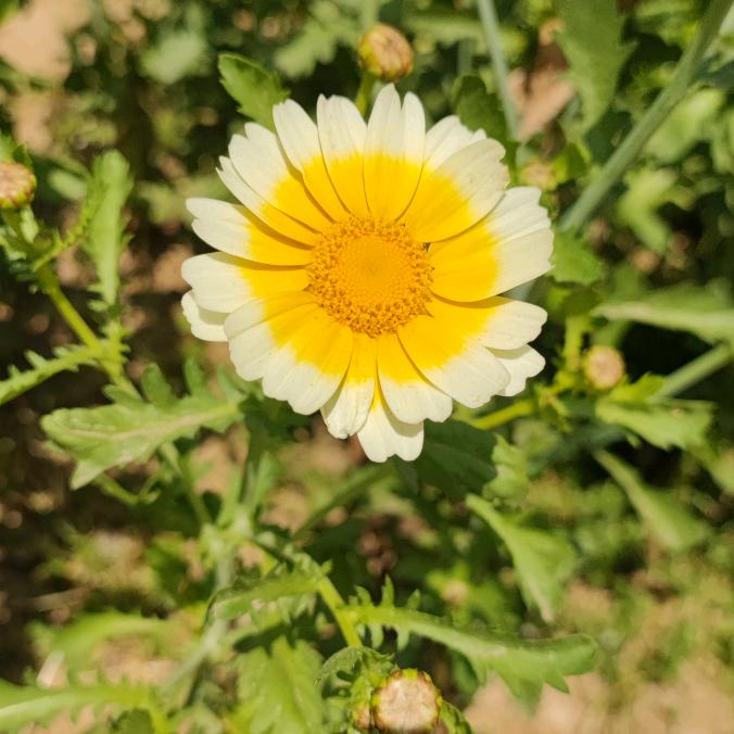 零食囤货小基地