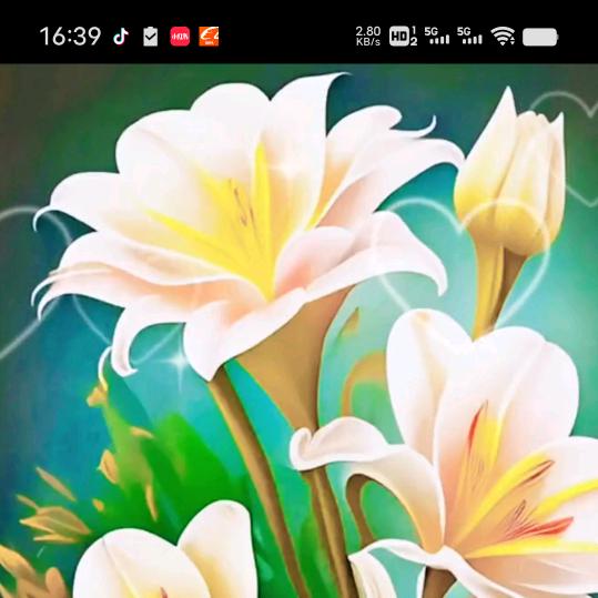 香水百合🌹🌹🌹