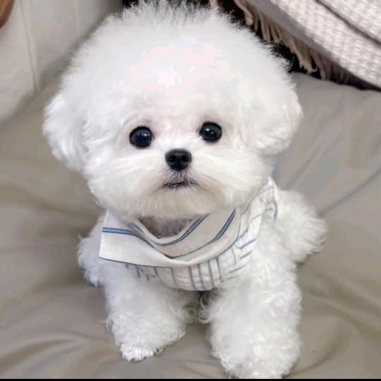 唯壹7-(๑•̌.•̑๑)-7