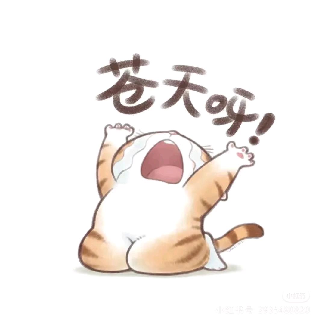 ✔小熊熊