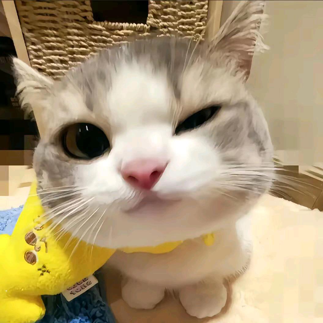 土豆🥔