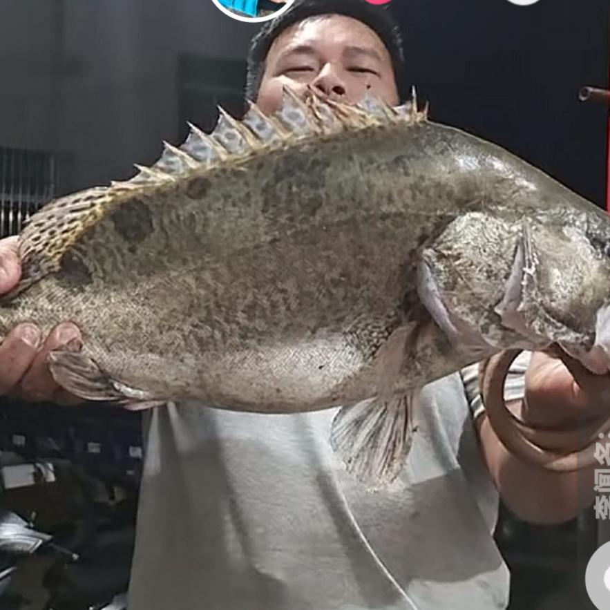 西瓜大胖<钓鱼>