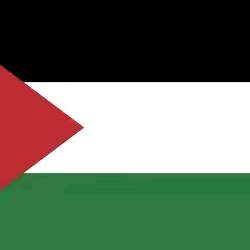 逝水无痕 🇵🇸