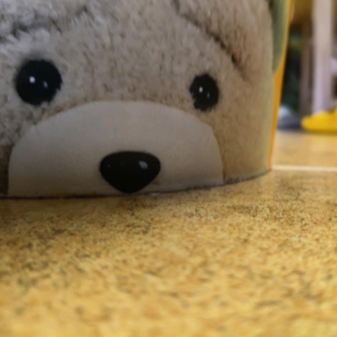 吱吱歪歪
