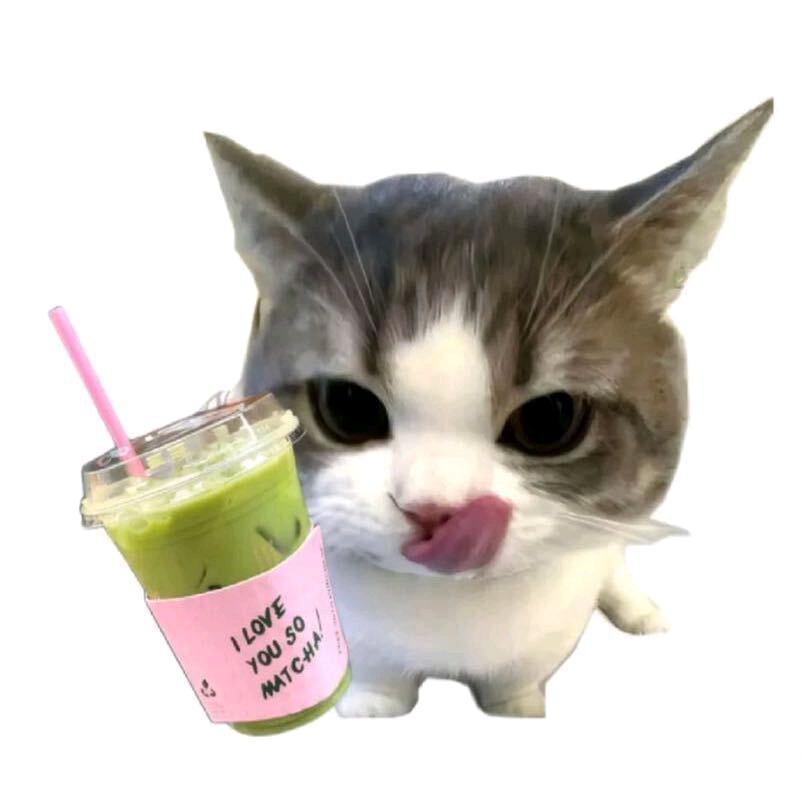 天生我才必有用，千金散尽还复来