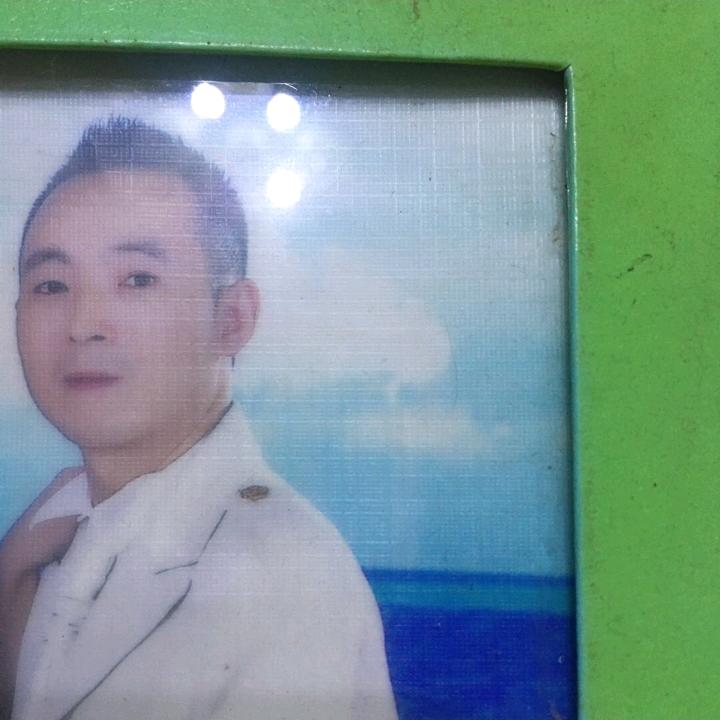 小树林里面，松了一扣