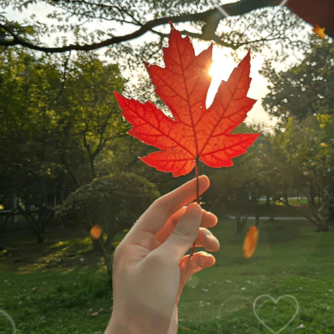 凶猛都是小羊。