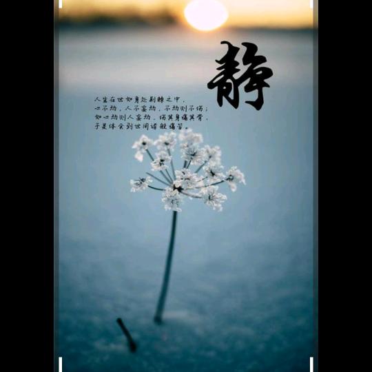心灵音律