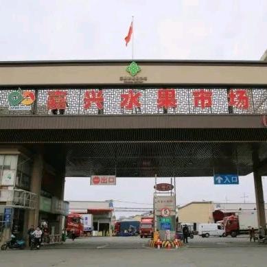 嘉兴水果市场代采代销