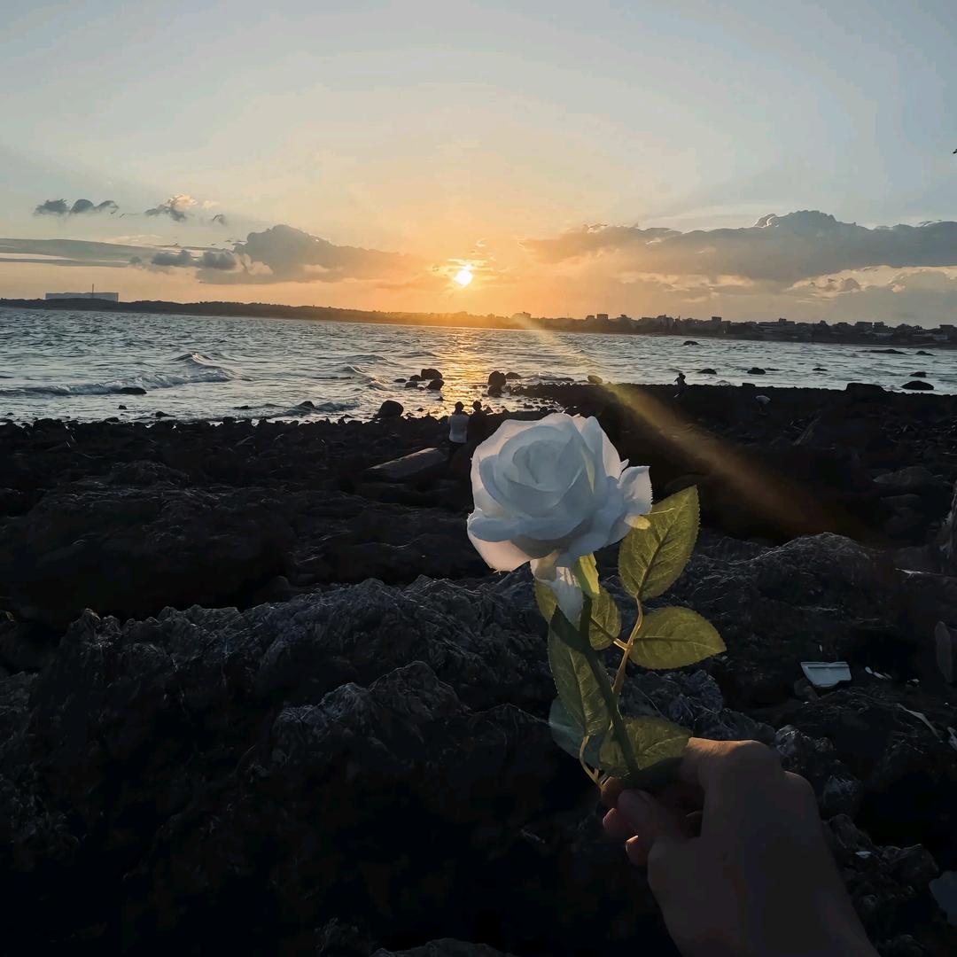 望诚汽车～小刘