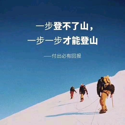 努力奋斗搬砖人