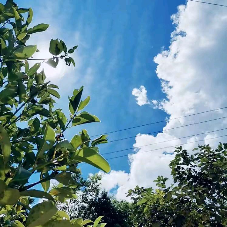 🦋ꦿ໊余生᭄🕊随心᭄ꦿᩚ٭