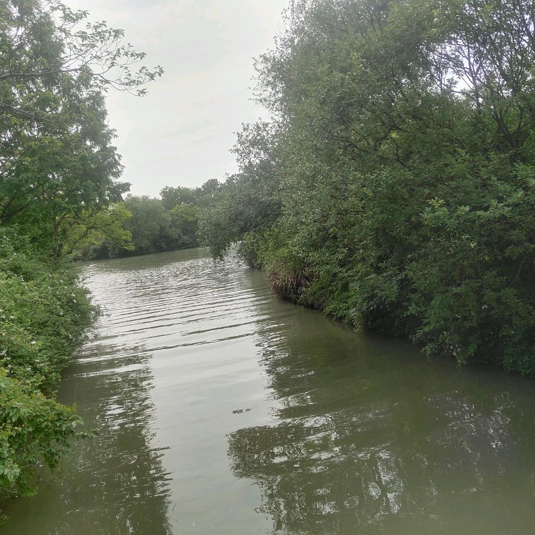 星空灿烂那片海