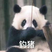 小包子