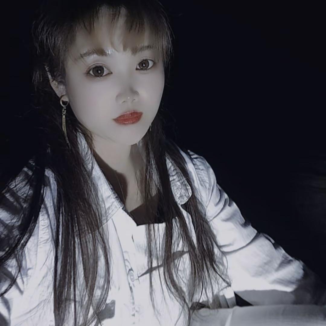 康辉国际旅游公司，空中的鹰