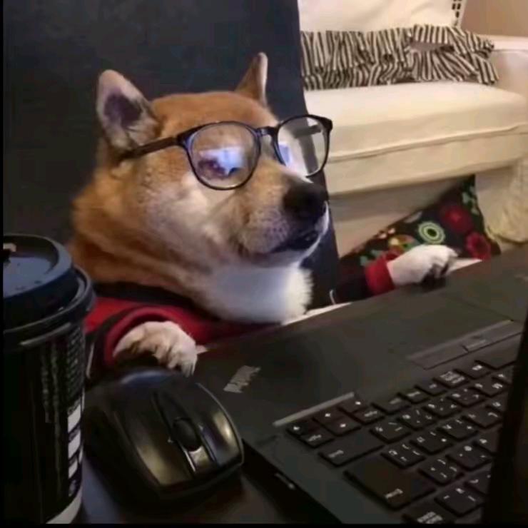 可能或者大概吧