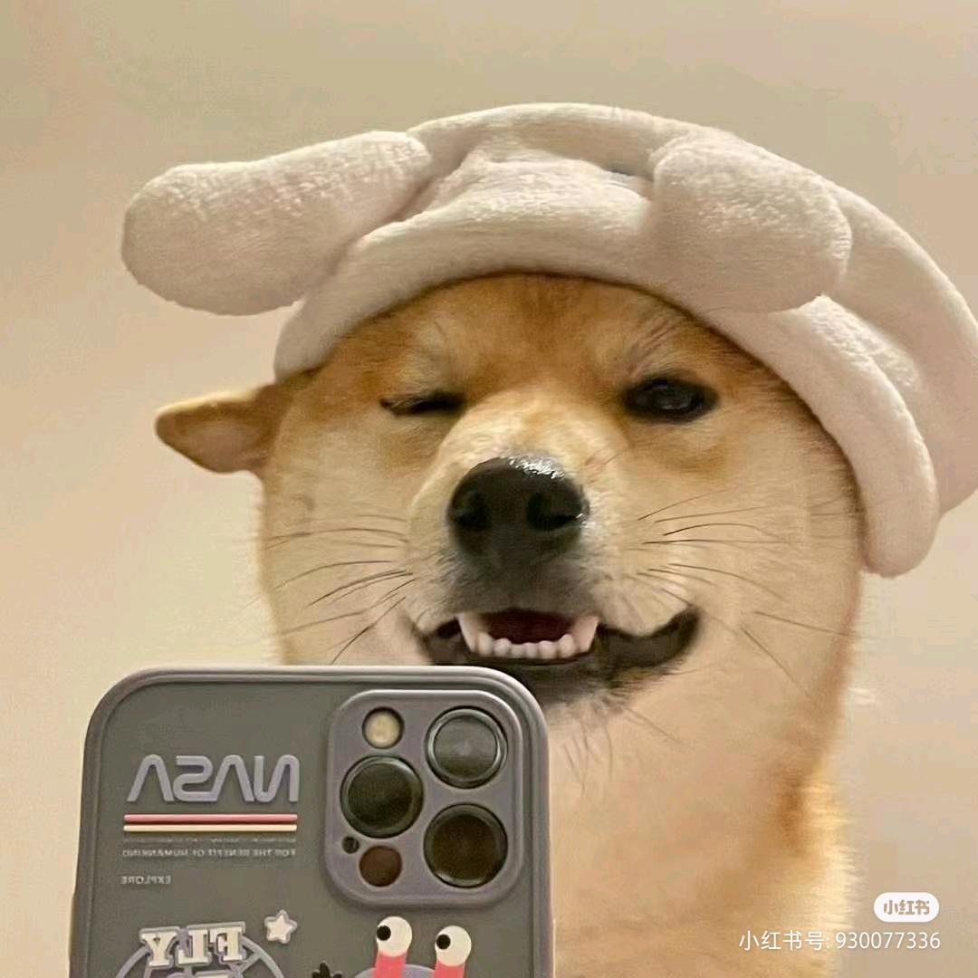 胖兔子（减肥中）