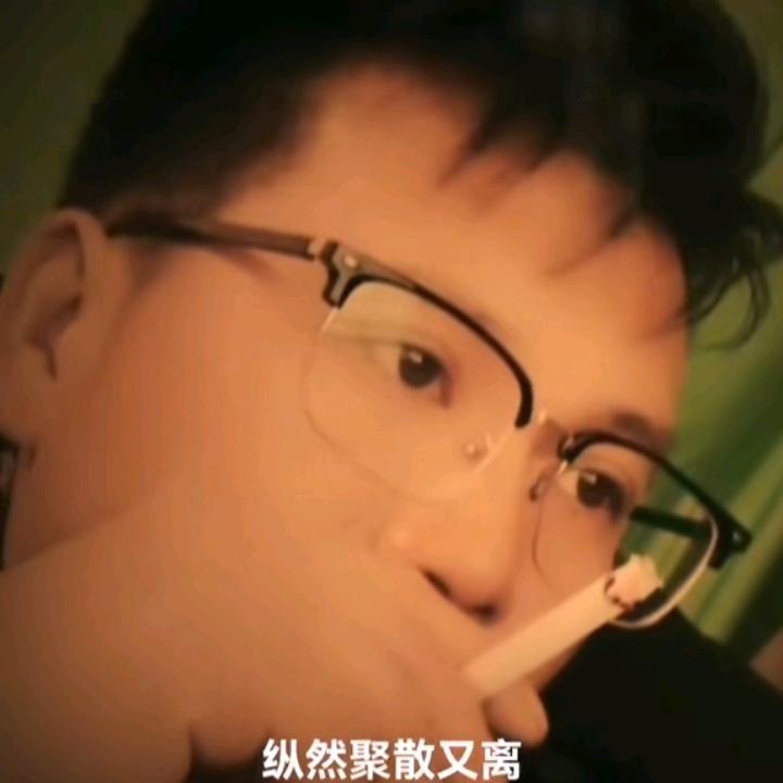 梦里花落知多少