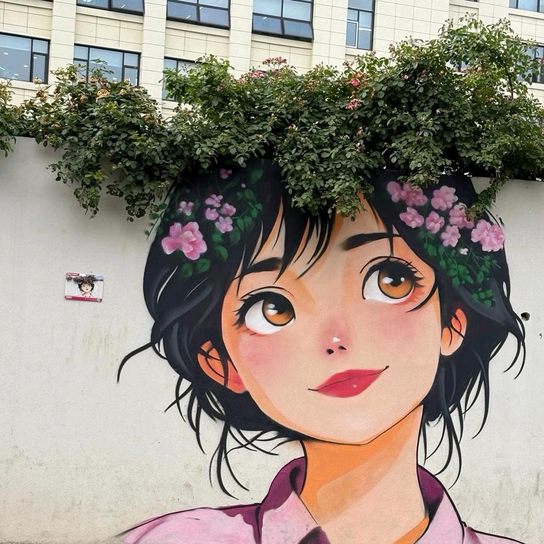 拾花听雨