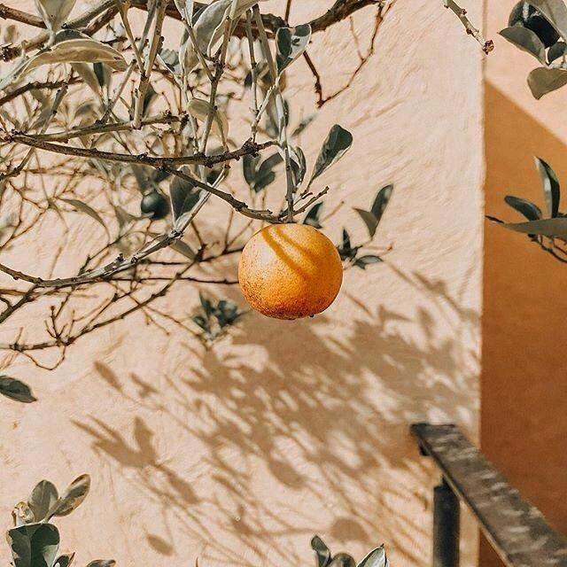 似是