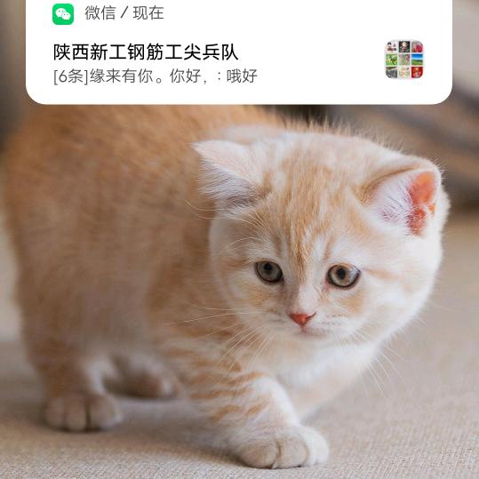 用户8535446537223
