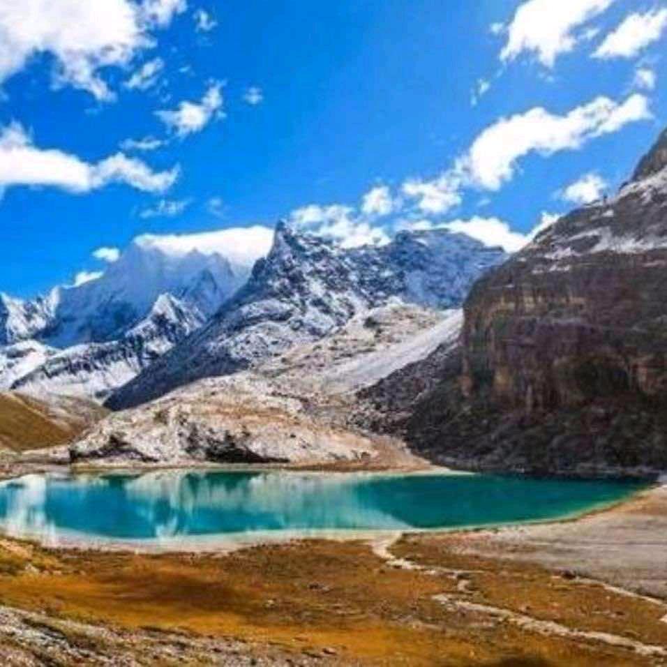 旅游下一站大管家