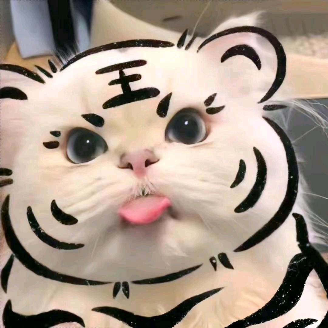 千金小姐