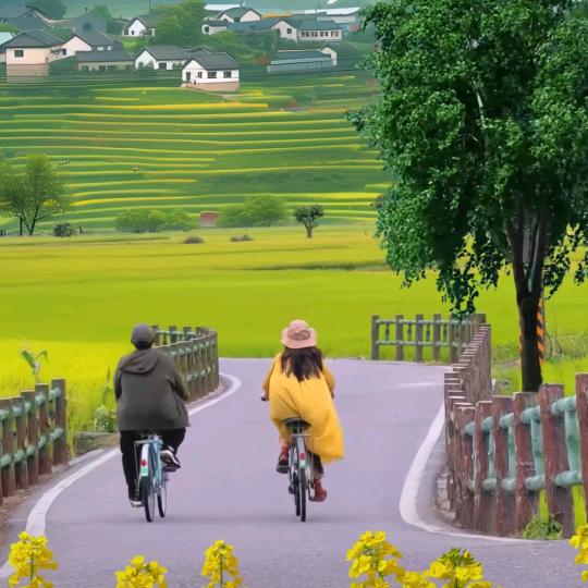 爱之家乡村生活（农场改造中）