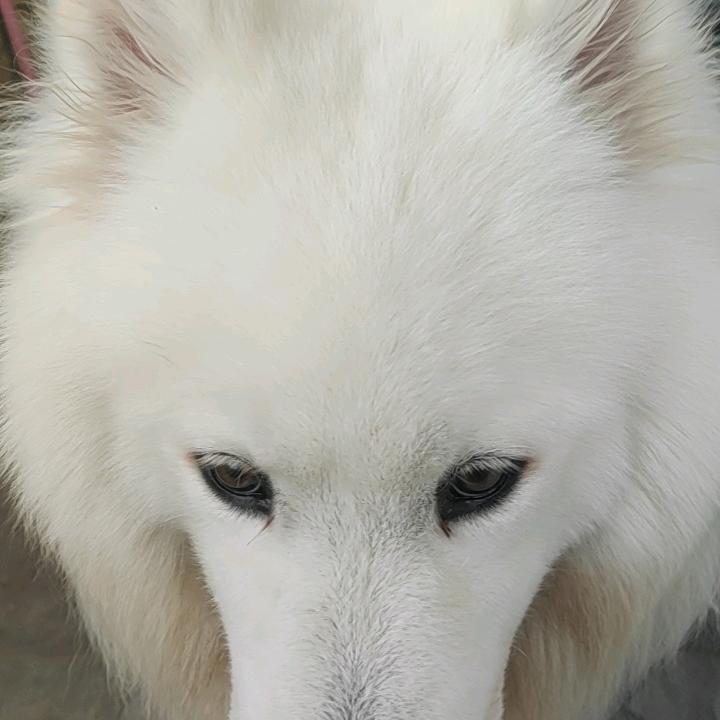 我是谁