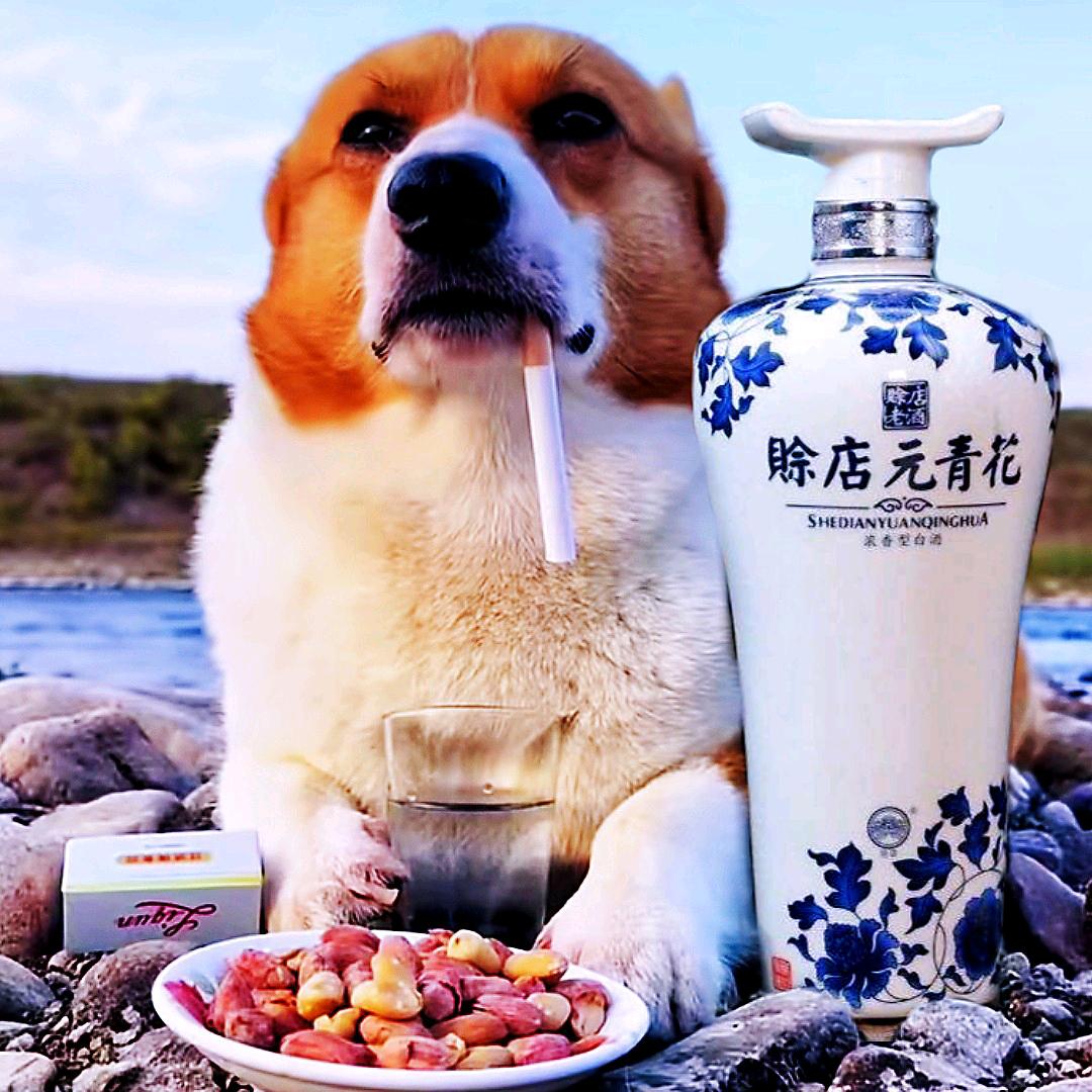 Lc🔥楠哥