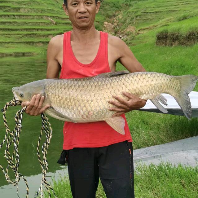 🎷手艺人城哥🎷