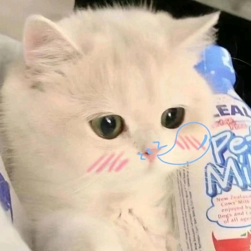 潘婷