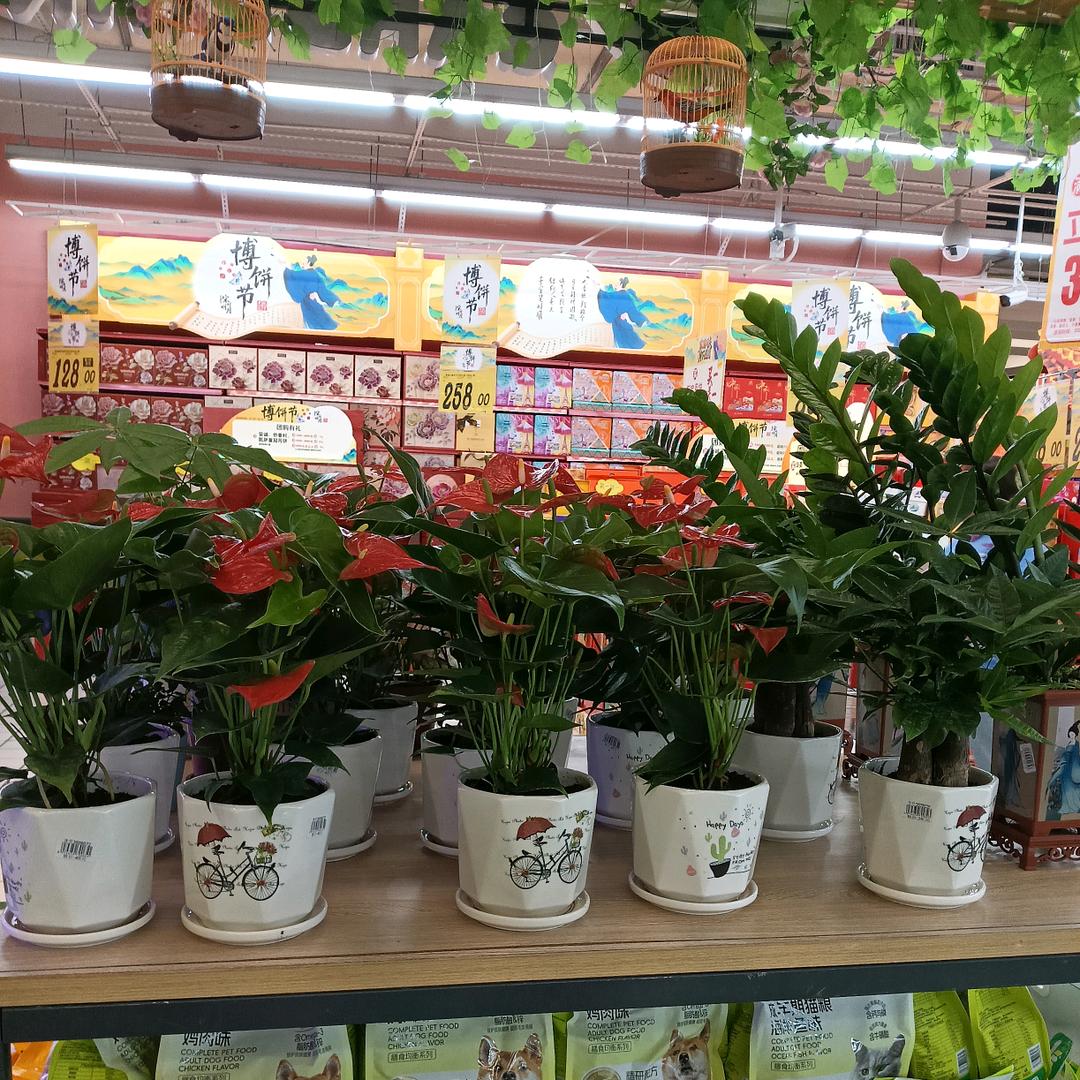 幸福的人在路上🍎🍎🍎🍎