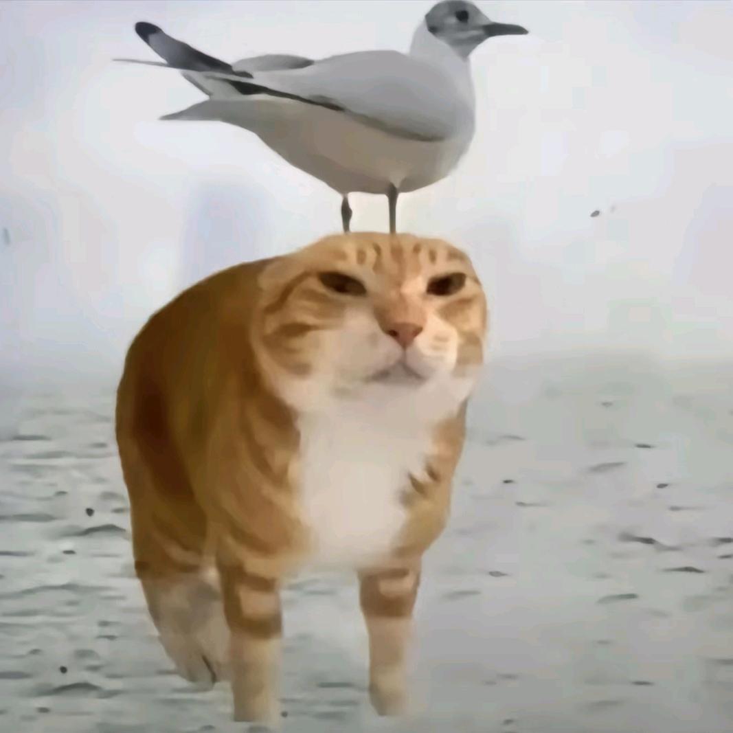 悲剧大师