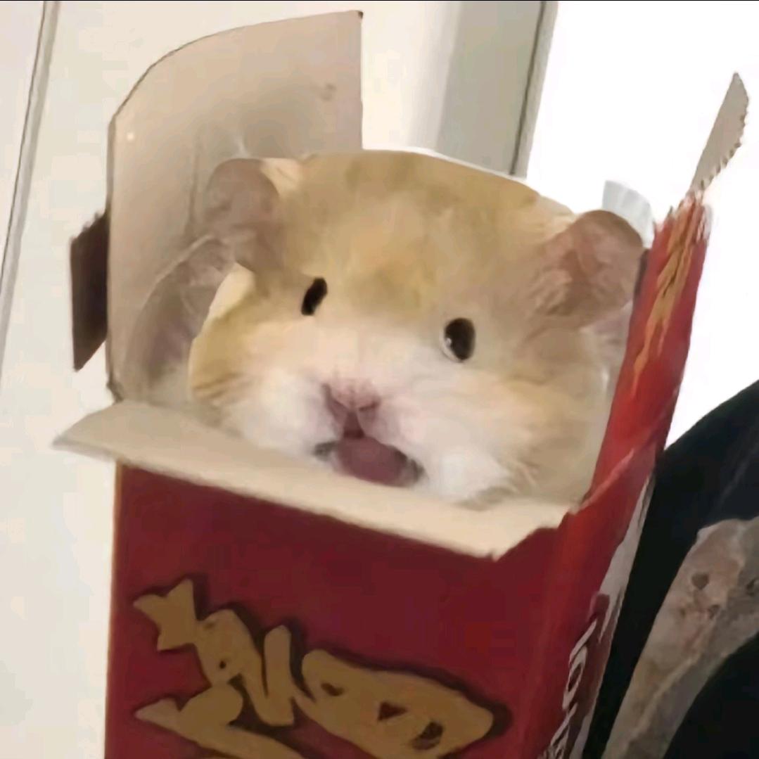 三月的熊(出熊🐻)