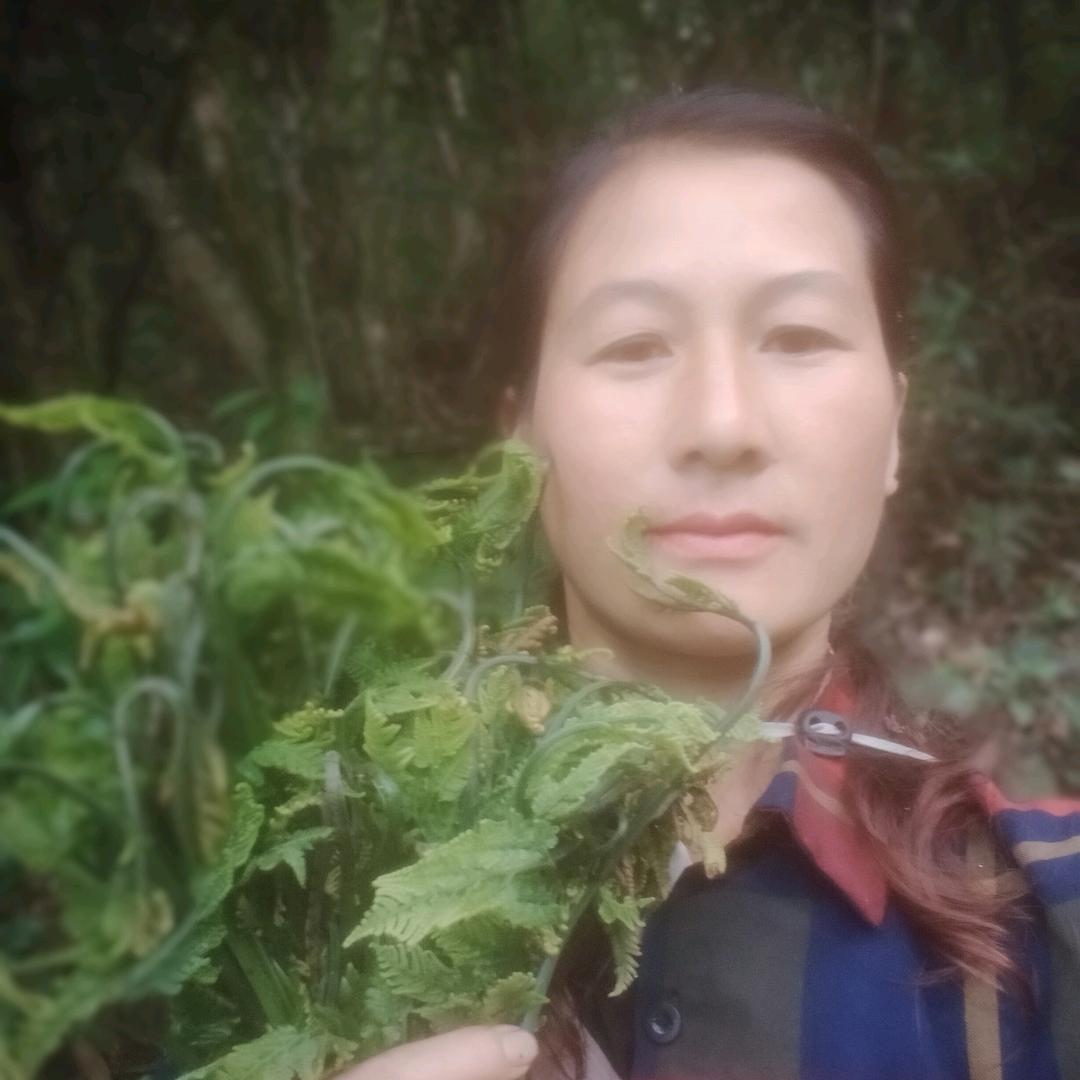 山村里开心果