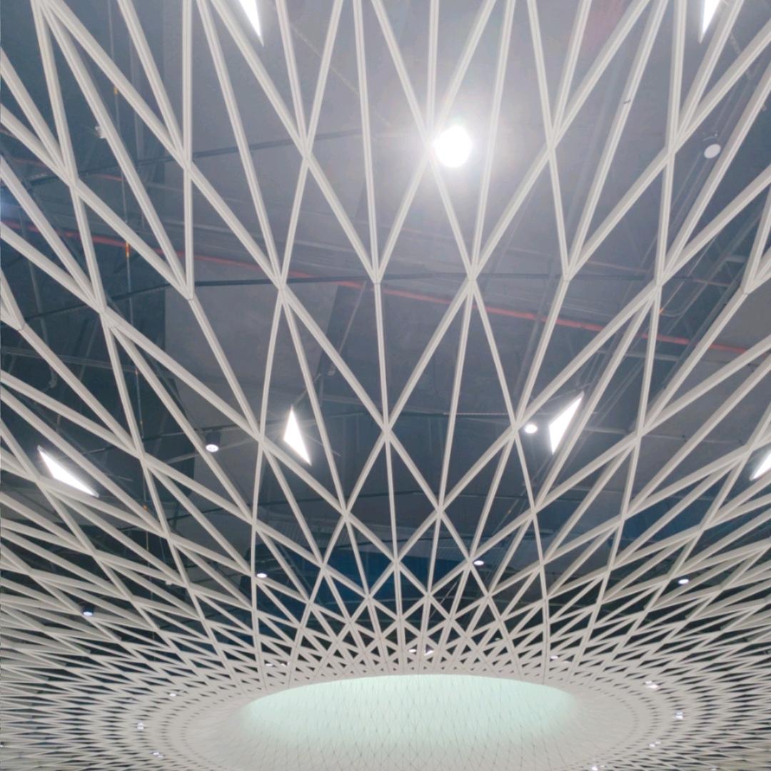 困困你头发掉了