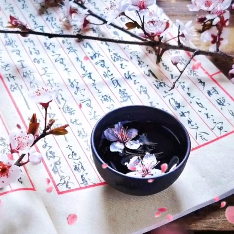 木木与书