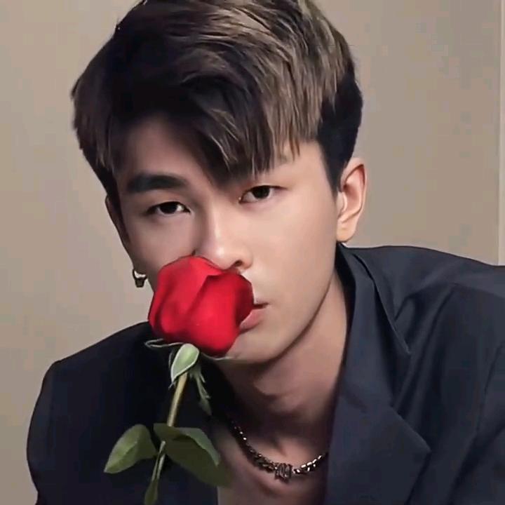 🐉星光🦚闪耀🐋