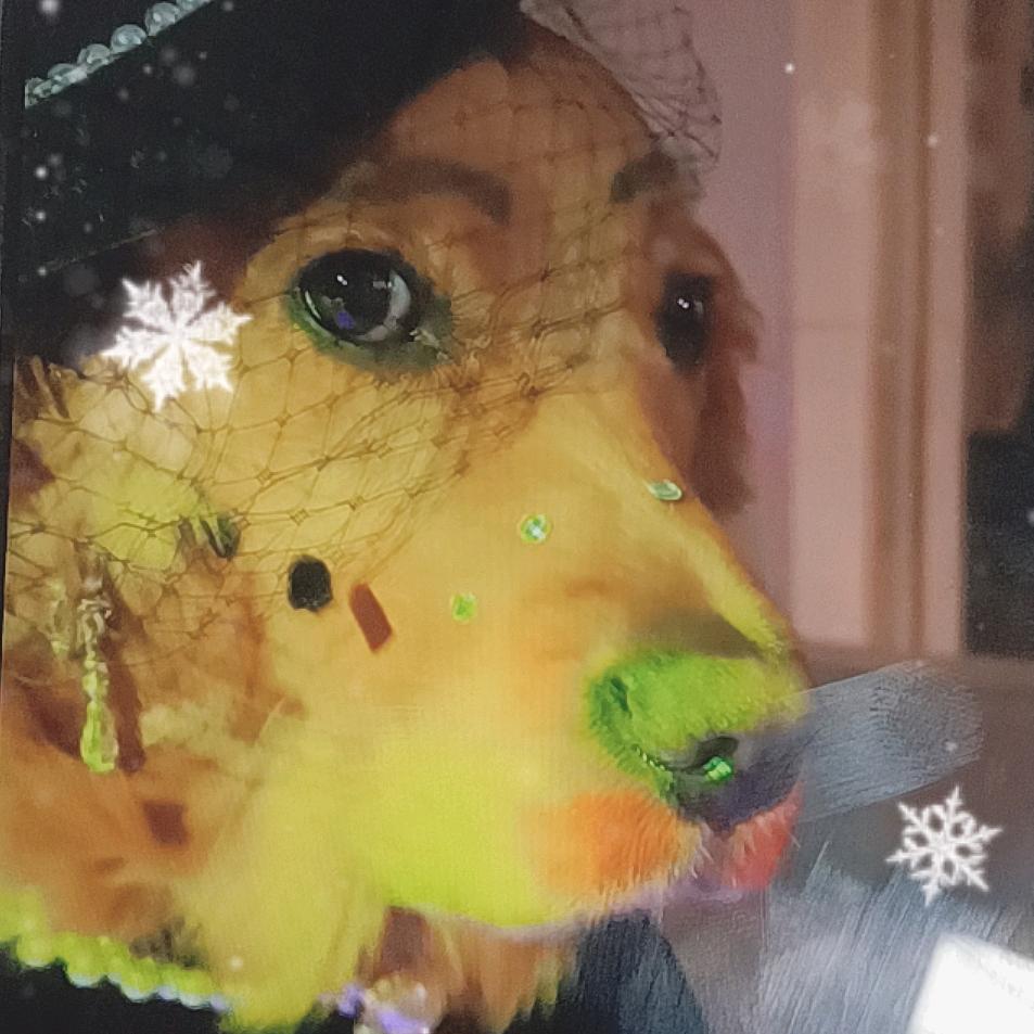 金毛翠花