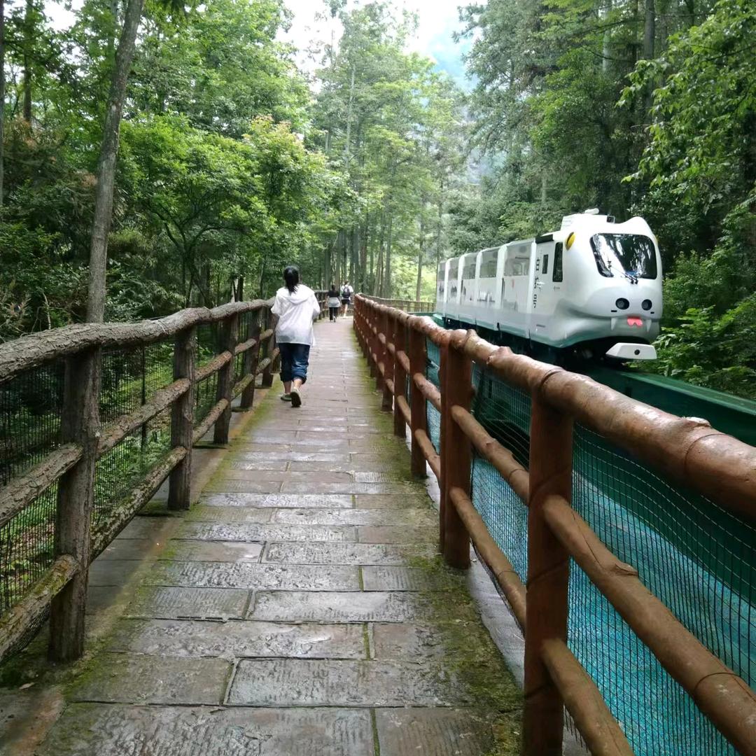 再苦不能苦自己
