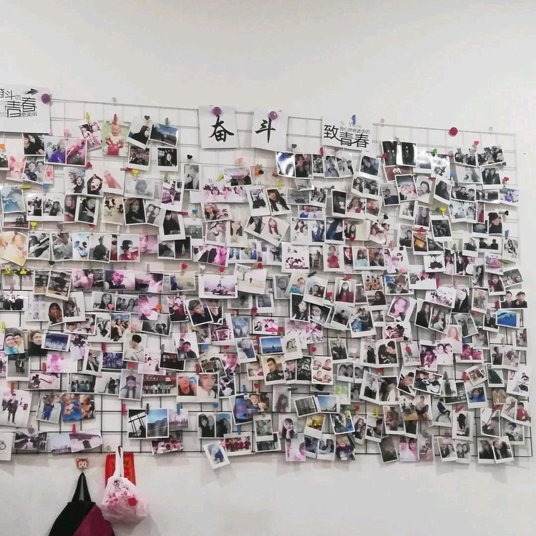 白鹿.𝓐𝓷