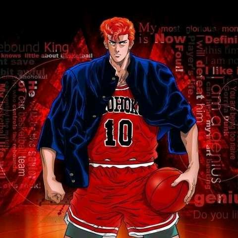 骑不快的樱木（招月保底代驾司机）